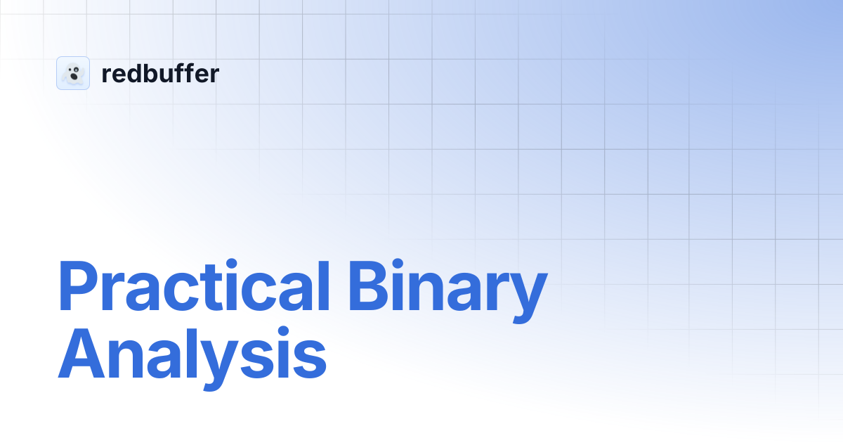 Practical Binary Analysis | redbuffer
